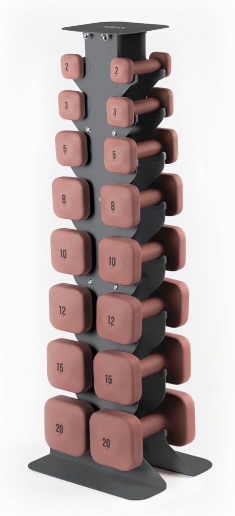 The Best At Home Hand Weights we gym dumbells full set